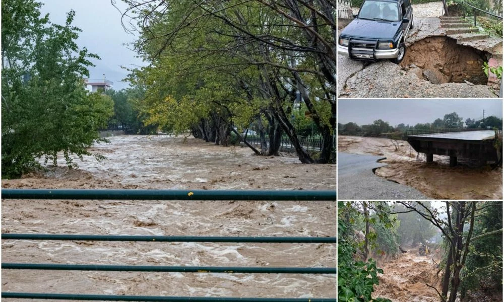 Πάλτη Πηλίου: Ζωντανός βρέθηκε ο 85χρονος που αγνοείτο